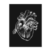 Human Heart Postcard