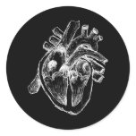 Human Heart Stickers