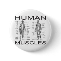 Human Muscles and Anatomy Buttons
