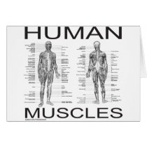 Human Muscles and Anatomy Greeting Card