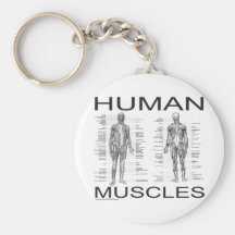 Human Muscles and Anatomy Keychain