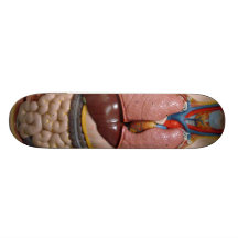 Human Organs, The Thorax Skateboards