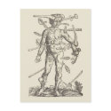 Human Pincushion postcards