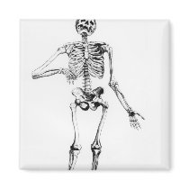 Human Skeleton Refrigerator Magnet