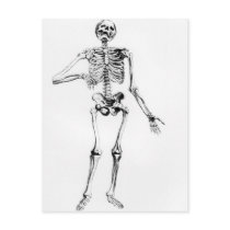 Human Skeleton Postcard
