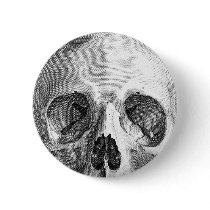 Human skull anatomy sketch drawing