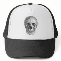 Human skull anatomy sketch drawing