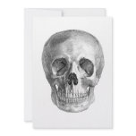 Human skull anatomy sketch drawing