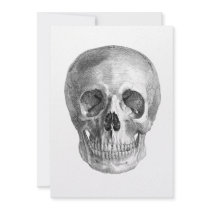 Human skull anatomy sketch drawing