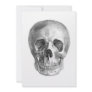 Human skull anatomy sketch drawing