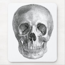 Human skull anatomy sketch drawing