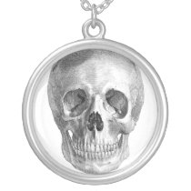 Human skull anatomy sketch drawing