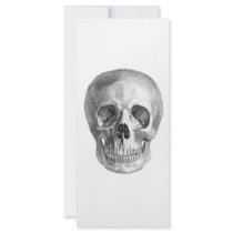 Human skull anatomy sketch drawing