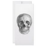 Human skull anatomy sketch drawing rack cards