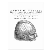 Human Skull Postcards