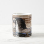 Humboldt Penguin Mug