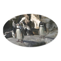 Humboldt Penguin Oval Stickers