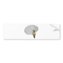 Humerous Snail on Lily Bumper Stickers