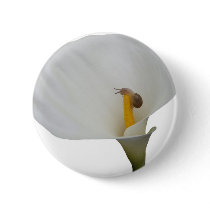 Humerous Snail on Lily Pins