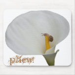 Humerous Snail on Lily mousepads