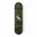 Hummer Board skateboards