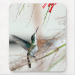 Humming Bird MousePad