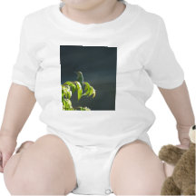 Humming Bird On Green Tree Shirts