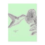 Humming Bird Post Card