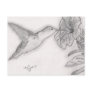 Humming Bird Post Card