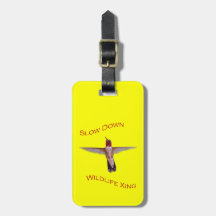 hummingbird
