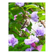 Hummingbird 2 Postcard (Vertical)
