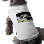 Hummingbird after filter fun pet clothing