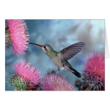 Hummingbird All Occasion Greeting Card