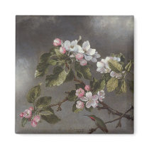 Hummingbird and Apple Blossoms Martin J. Heade Fridge Magnet