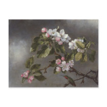 Hummingbird and Apple Blossoms Martin J. Heade Post Card