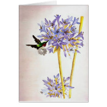 Hummingbird and Flowers cards