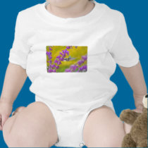 Hummingbird and Mexican Sage t-shirts