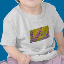Hummingbird and Mexican Sage t-shirts