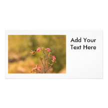 Hummingbird and Pink Flowers Photo Card Template