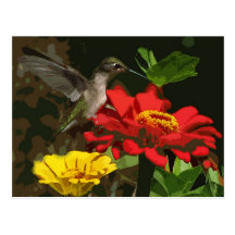 Hummingbird and Zinnias Post Cards