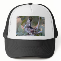 Hummingbird Babies Hats