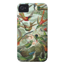 Hummingbird Barely There iPhone 4 iPhone 4 Cover