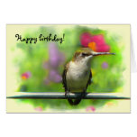 Hummingbird Birthday Cards