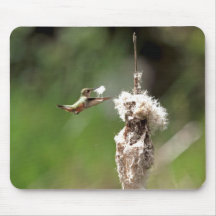 Hummingbird Building a Nest Mousepad