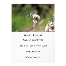 Hummingbird Building a Nest Personalized Invites