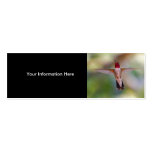 hummingbird business cards