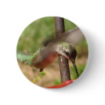Hummingbird Button
