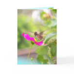 Hummingbird Card