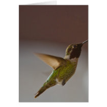 Hummingbird Greeting Card