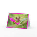 Hummingbird Card